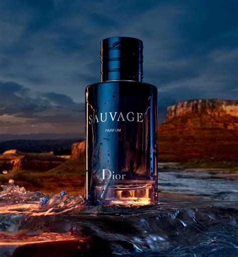 gourde dior sauvage|sauvage by Dior cologne.